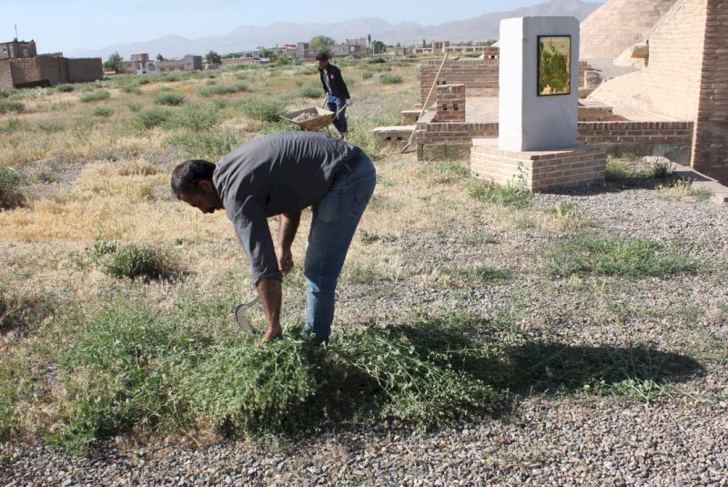 Clean-up project commenced on UNESCO-tagged Soltaniyeh Dome