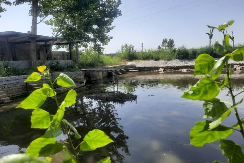 Farms receive agritourism permits in northern Iran 