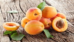 Marand to host apricot festival