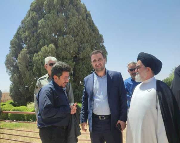 Iran preparing to get 4,500-year-old cypress on UNESCO list