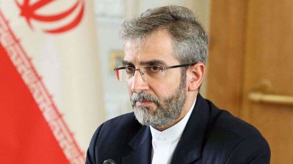 Bagheri Kani iraní informa a los parlamentarios