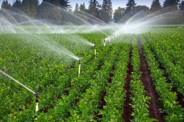irrigation