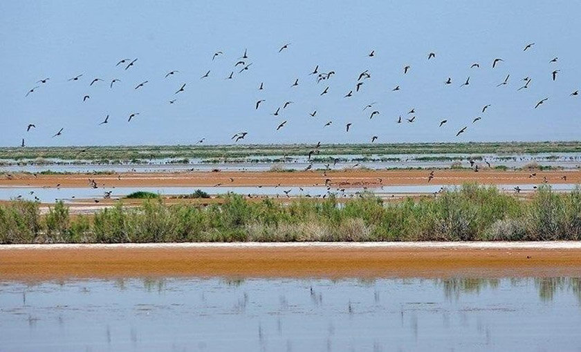 Which wetlands refilled in flooding?