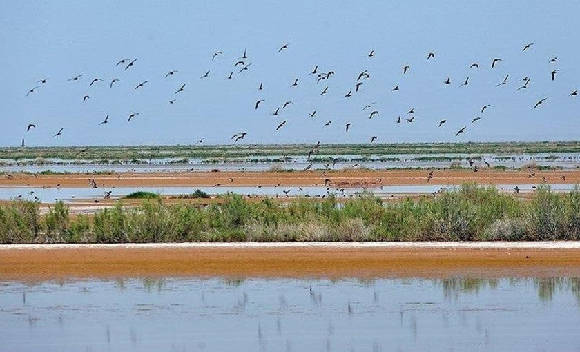 Which wetlands refilled in flooding?