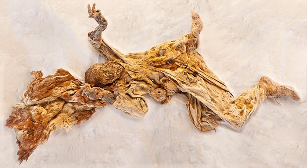 ‘Death in Salt’ recounts Iran, German research on mysterious ancient mine