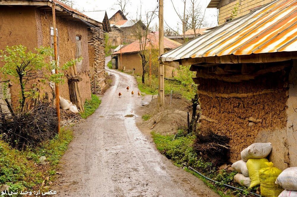 Shanetarash village