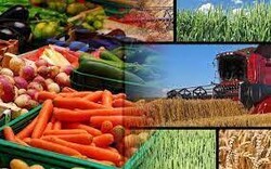 Tehran hosts intl. event on new agricultural technologies