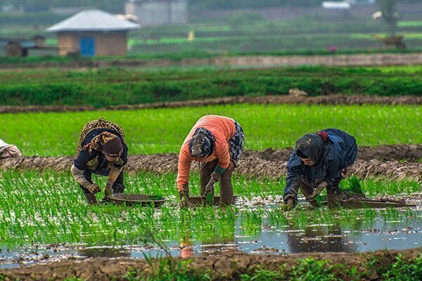 Agritourism: Gilan bids to bring more visitors