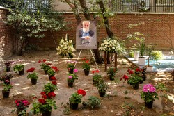 A portrait of Amir-Hushang Ebtehaj is placed in memory of the Iranian poet under the renowned Judas tree in his house in Tehran on August 13, 2022. (ISNA/Sara Sabzi)