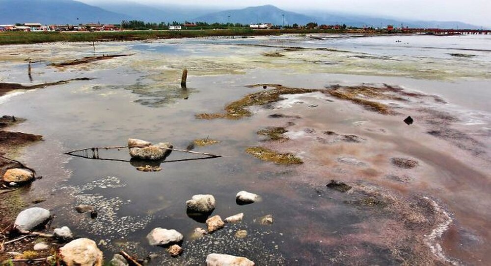 Caspian Sea wetlands imperiled