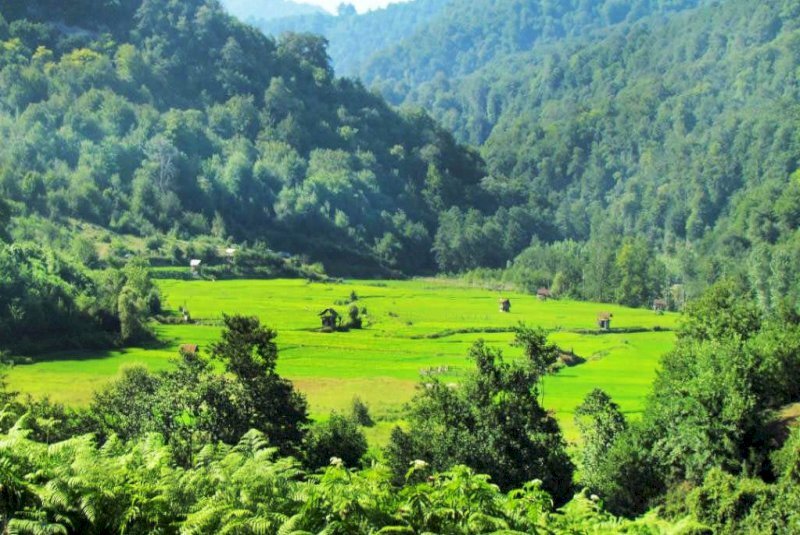 Mazandaran