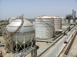 Petchem export