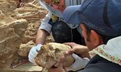 Tol-e Chega Sofla where bizarre ‘modified skulls’ unearthed