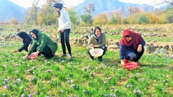 Cultivation of agritourism in southeast Tehran