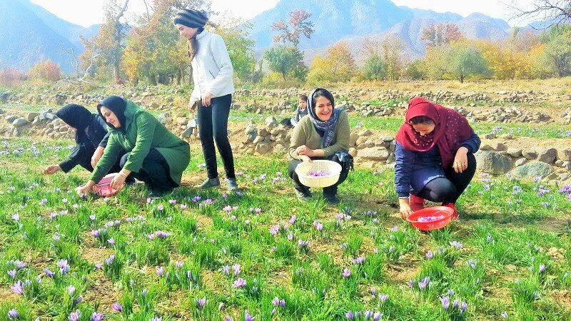 Cultivation of agritourism in southeast Tehran