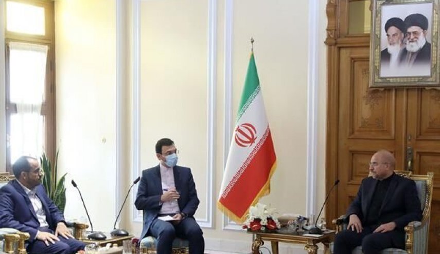 Ansarullah official meets Iranian parliament speaker 