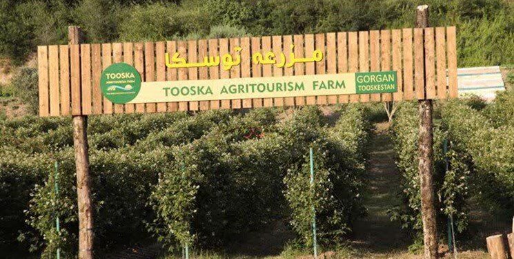 Farms gain agritourism permits in Golestan