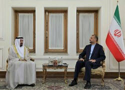 UAE envoy meets Iran's FM