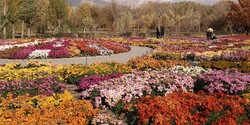 A green retreat: National Botanical Garden of Iran