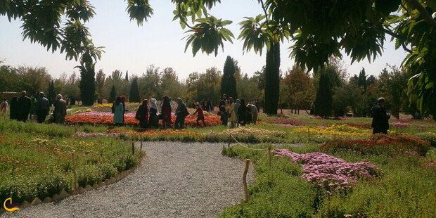 A green retreat: National Botanical Garden of Iran