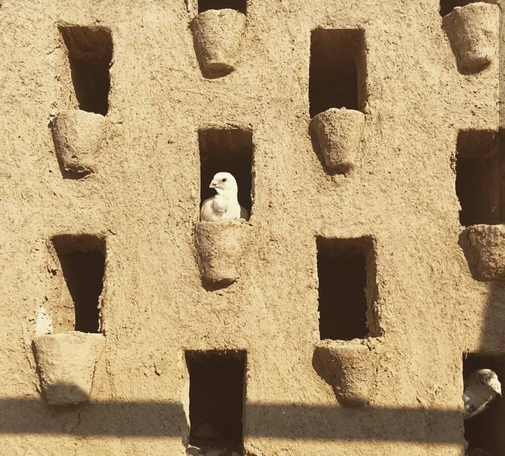 Centuries-old pigeon towers under restoration for tourism