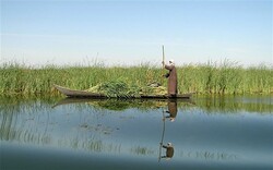 Helmand’s water right being pursued as a major demand