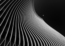 “Flying in the Dark” by Ali Zolqadri won second prize in the architecture category at the Creative Photo Awards in Siena, Italy.