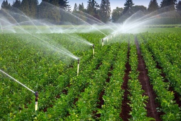 irrigation