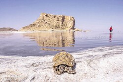 Govt. to complete Lake Urmia restoration plans