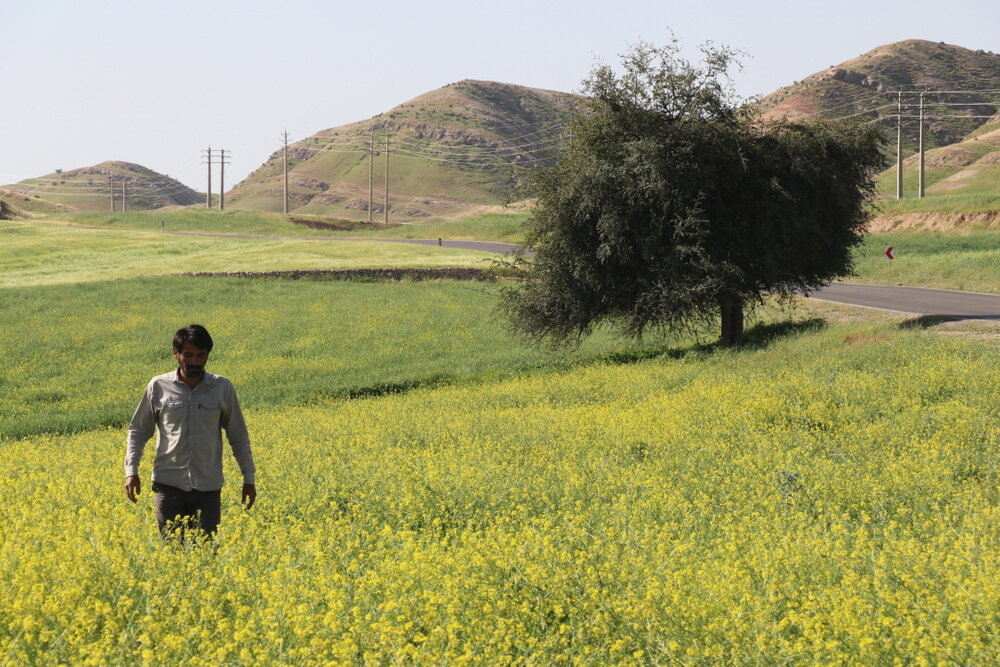 Director Hadi Mohaqqeq plays appears in a scene from his film “Scent of Wind”.