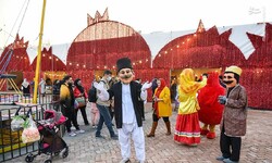Autumn harvest: Tehran village to host pomegranate festival