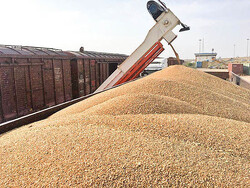 Wheat import