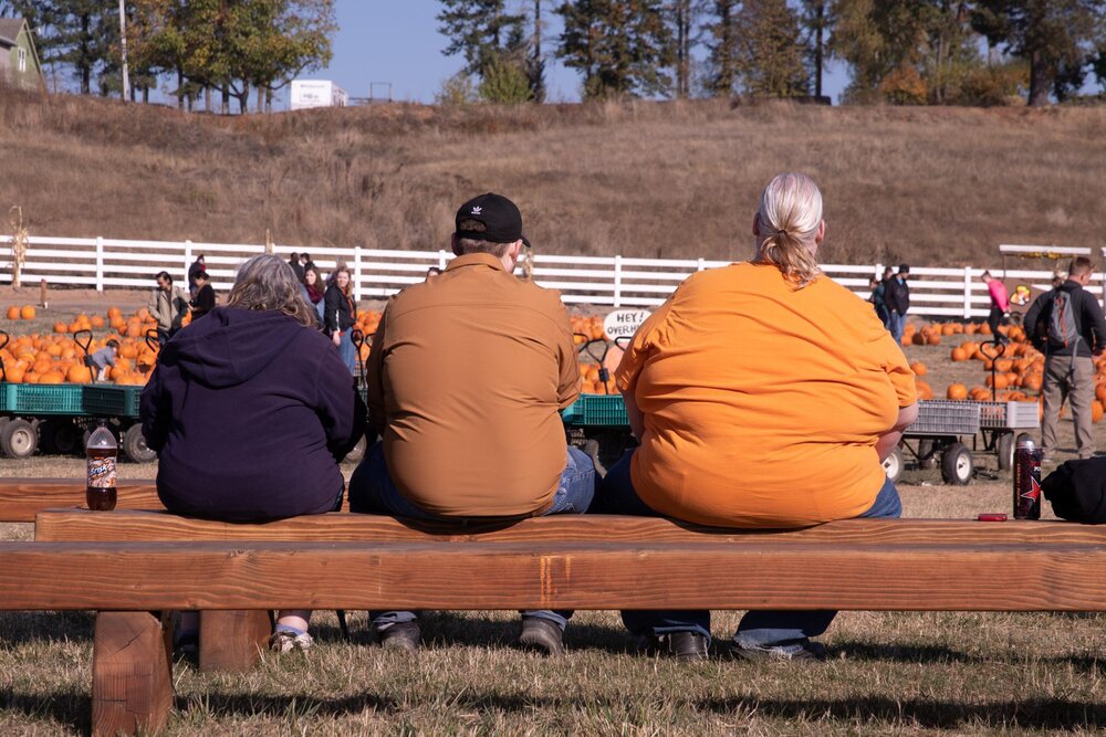 WHO welcomes Iran's initiatives to curb obesity