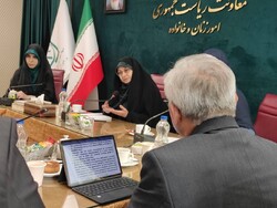 IORA should become familiar with achievements of Iranian women: VP