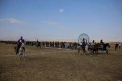 Horse-riding festival