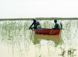 COP14 to focus on Hamoun wetlands