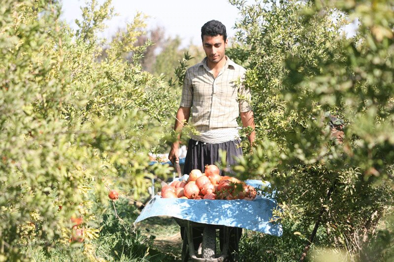 agritourism