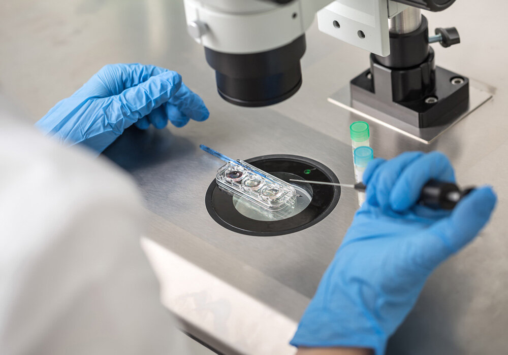 Supporting knowledge-based firms active in infertility treatment on agenda