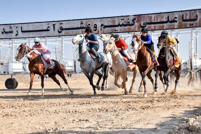 equestrian competition