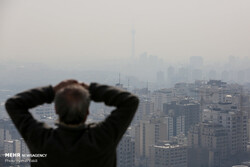Deaths attributed to air pollution increased by 87%