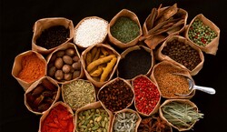 Iran ranks fourth in producing knowledge on traditional medicine