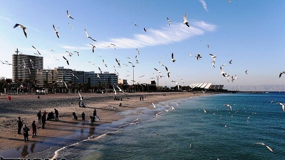 Kish