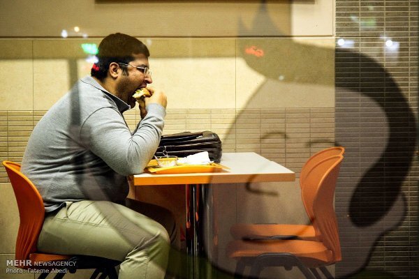 Over 50m Iranians suffering from obesity