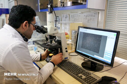 Iran’s top scientific rank among Islamic countries