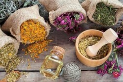 Persian traditional medicine festival slated for January 2023