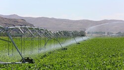 modern irrigation