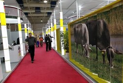 feed expo