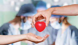 Organ donation grows by 16.5%