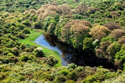 Golestan National Park