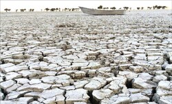 Drought expected to persist during cold season